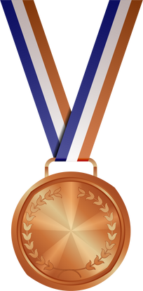 Bronze Medal, Medal Awards trophy